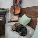 망미2-203 | 부산 망미단길 카페 바사크라, 혼자 책 읽기 좋은 조용한 수영구 북카페