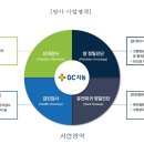 지씨 이미지