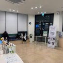 다정한동물메디컬센터 이미지