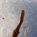 백담독채 물가에펜션 이미지