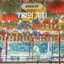 주성농장 | 25년 7월의 계피