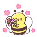 제이라인바디핏바른자세운동 이미지