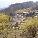 밤재 등산로 이미지