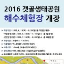 갯골생태공원(해수체험장) 이미지