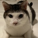 여주안과의원 이미지