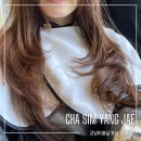 다인헤어 | 양재역 미용실 차심 헤어에서 다인 디자이너에게 받은 레이어드 C컬 후기!