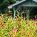 반계초등학교 이미지