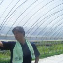 이든컨설턴트