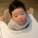 모도리베이비 이미지