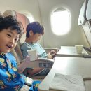 씨에스빌리지 | [2023.8. 제주] 제주, 4박5일