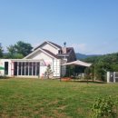 댕댕그라운드 이미지