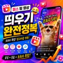 트래픽 | 인스타그램 밈 릴스 콘텐츠로 조회수 올리는 방법 구름트래픽 후기