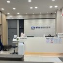 알레르기검사 후기 MAST검사 (동작성모이비인후과 가격 및 알러지검사 실비청구)