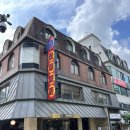 호화반점 | 압구정로데오 맛집 호화반점 솔직 방문 후기 🍜✨