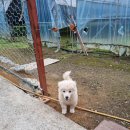 이종대 농장 이미지