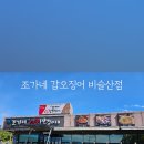 조가네갑오징어비슬산점 이미지