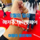 (주)코로나펫 이미지