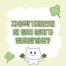 은여울중학교 | “자유학기제, 그래도 첫 시험은 온다” 예비중등, 은여울중 대비 영어학원 선택 가이드