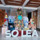 레아네팜 이미지