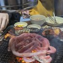 별들의 | [대전 술집] 노포술집 탄방동 별들의 고향 방문 후기