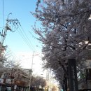 던킨도너츠암사역점 이미지