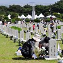 구좌충혼묘지 이미지