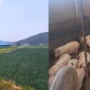 고기사이소 - 관악구 대학길 57 | 고기사이소