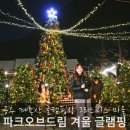 초록빛언덕글램핑 | 겨울 글램핑 캠핑장 불멍! 공주 글램핑장 캠핑 후기