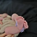 레몬타임스튜디오 이미지