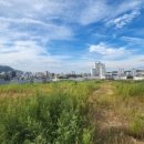 대조-010 이미지