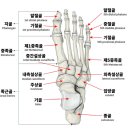 금호정형외과의원 이미지