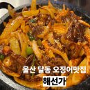 SK아파트경로당 | 울산 달동 맛집 해선가 오징어돌판 볶음 오징어튀김 점심 저녁 밥집 추천