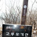 신선포목
