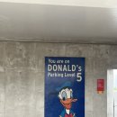 스낵영어_챙겨서 떠나는 여행영어 [서바이벌편] | [미국여행] LA여행 마지막 일정 - 디즈니랜드, 파머스마켓, 에레혼(erewhon), 타코, 솔트앤스트로우 등등