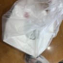 이성환피자 이미지