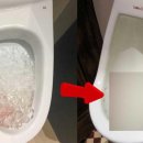 화장실 변기에 ‘얼음’ 부어 내리면 벌어지는 일 (+대박 꿀팁) 이미지