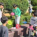 양구초등학교 이미지