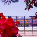 항구초등학교 이미지