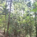 장성호 수변트레킹길 주차장 이미지