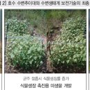 디에스그린(주) 이미지