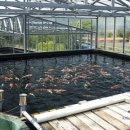 광릉금리원 이미지