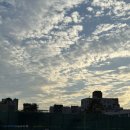 (2코트) 대림테니스장 | [대림/영등포/구디/구로구/양천구] 풀코트 야외레슨 받을 수 있는 스플릿테니스장 내돈내산 솔직 후기