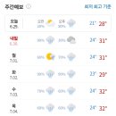햇빛식당 이미지
