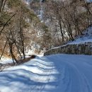 산삼자연휴양림(함양) 이미지