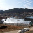 장암 천진전 이미지