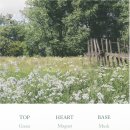 허밍플레르 | 슬로우허밍 퍼퓸밤 플레르베일! 여름 고체향수 내돈내산 추천 (f. 키링으로 가.꾸까지)