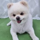 도담 이미지
