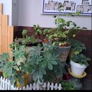 원투공인중개사사무소 이미지