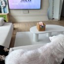 롯데리아 아산용화점 이미지