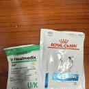 드림동물의료센터 이미지